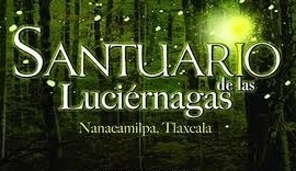 TOUR "LUCIÉRNAGAS"    Conoce Ex-Hacienda Chautla + Santuario Luciérnagas + Tlaxcala.